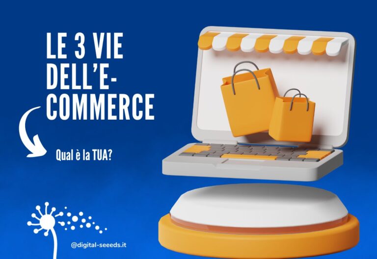 Realizzazione Siti Web e Servizi di Web Marketing 8 Le 3 Vie dell'Ecommerce B2C